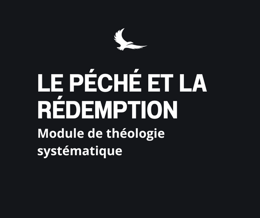 6/Le péché et la rédemption